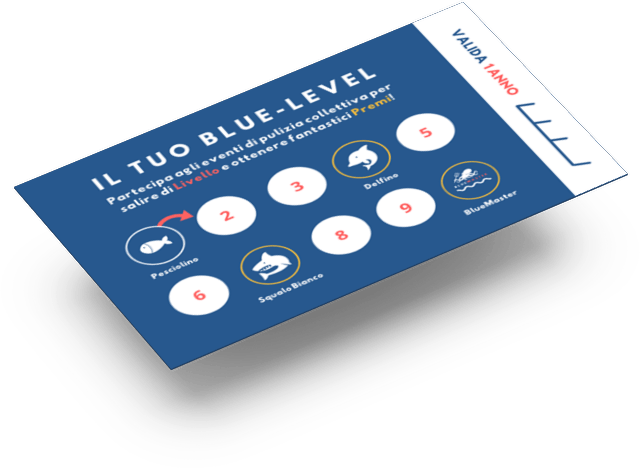 Retro della BlueCard con percorso a livelli